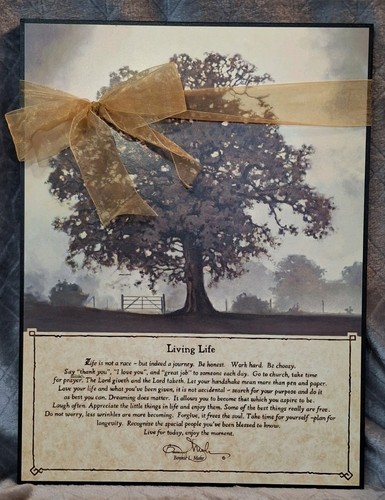 Bonnie Mohr Living Life Plaque Wood 12" X 16" Insprirational Art P Graham - Picture 1 of 8