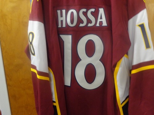 Atlanta Thrashers #18 Marian Hossa Concept 3rd Alternate - Picture 5 of 6