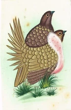 Hand Miniature Painting Of Birds Ethnic Wildlife Nature Art On Cloth 4x6 Inches