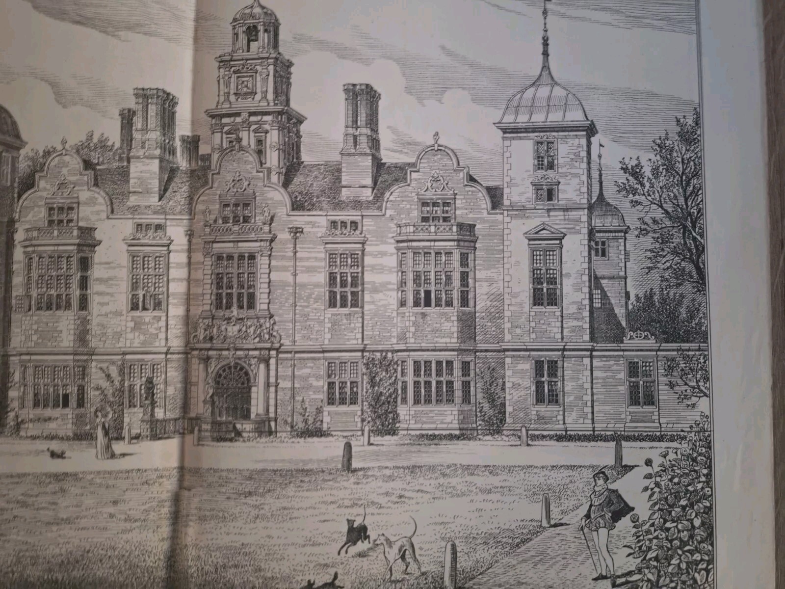 Picture 4