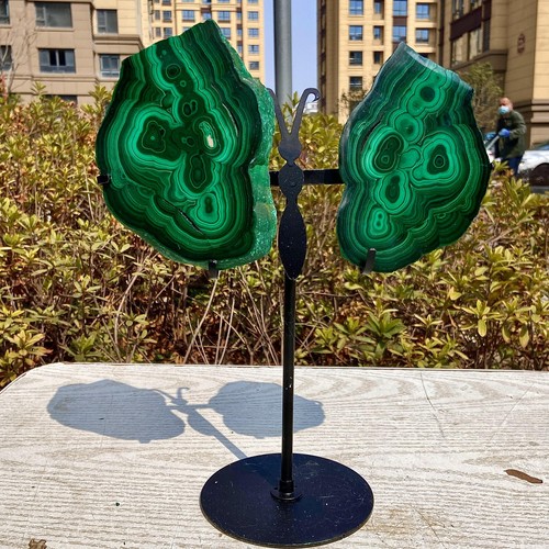 2.68LB Stunning Malachite Wing - Rare Crystal Collectible for Display & Healing - 第 1/13 張圖片
