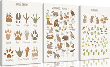 Woodland Animals ABC Canvas Art - Educational Nursery Decor for Kids