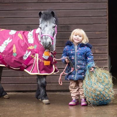KLEINES HEUNETZ SHETLAND PONY NETZ 2 ZOLL LÖCHER 28 ZOLL LANG 3,5 KG KAPAZITÄT *VERSANDKOSTENFREI*