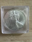 2010 1 Oz Silver American Eagle (Brilliant Uncirculated)