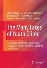 The Many Faces of Youth Crime - 9781441994547