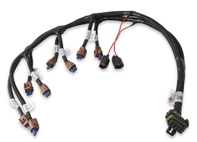 558-322 Ford Coyote Ti-VCT Coil Harness (2015.5-2017)