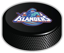 New York Islanders NHL Hockey Sport Logo Car Bumper Sticker Decal "SIZES''
