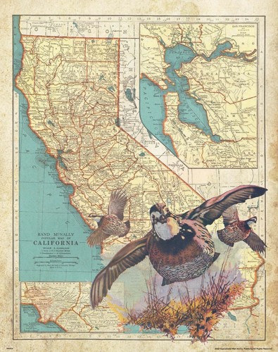 Quail Hunting Vintage California State Map Art Print Calls Cabin Wall Decor - 第 1/1 張圖片