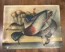 Vintage Henri LeRoy Chromolithograph Print 1906 Antique “WILD DUCKS” Hunting