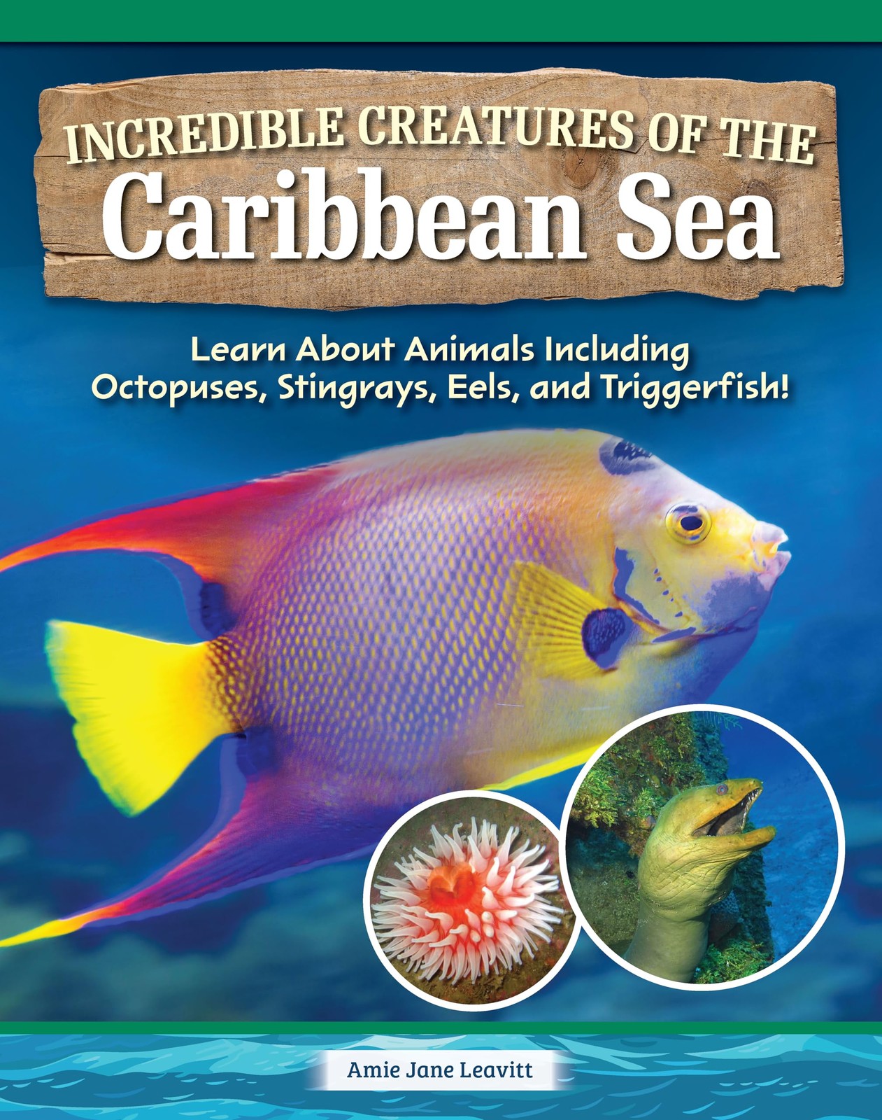 Incredible Creatures of the Caribbean Sea: Learn About Animals Including Octopus
