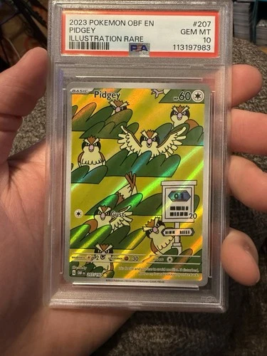 2023 POKEMON OBF EN-OBSIDIAN FLAMES ILLUSTRATION RARE #207 PIDGEY PSA 10