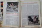 Used Issue of Backyard Poultry magazine, Apr/May 2014 – in perfect condition — photo 3