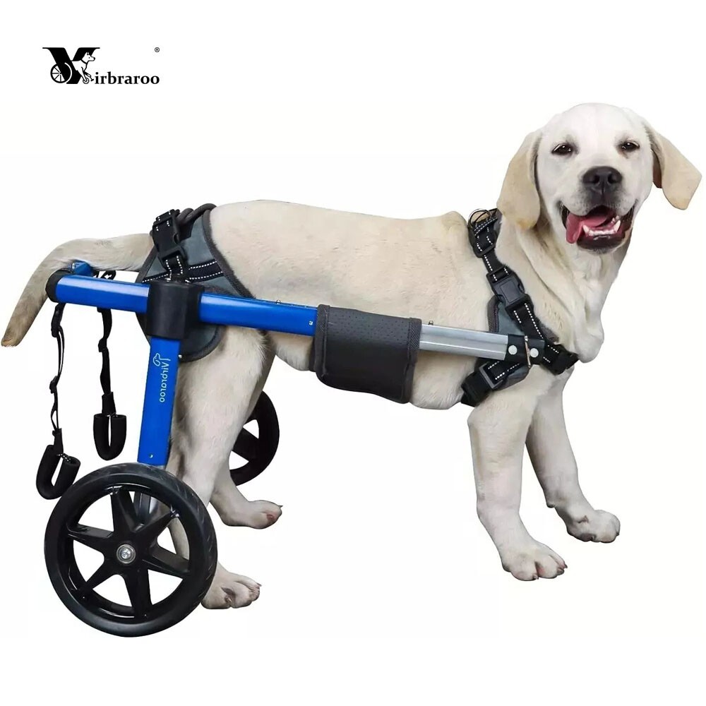 Fort Wayne Happy Trails Dog Daycare Dog Wheelchair For Back Legs - Main Image
