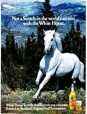 Original Print Ad-1977 Not a SCOTCH In The World Can Run With The WHITE HORSE !