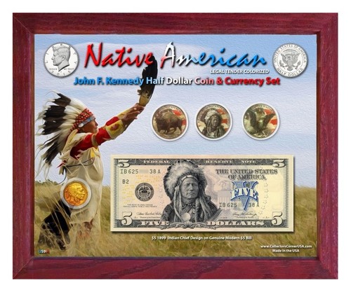 Native American Indian Chief Colorized Coin & Currency Set in 8" x 10" Frame - H - Picture 2 of 6