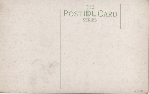 (ca43) The Pier Shanklin - Isle of Wight Postcard - Picture 2 of 2