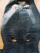 Genuine lizard iguana skin, genuine iguana leather, Exotic leather, Super Price!