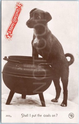 RPPC Vintage Postkarte Hundetopf Weihnachten Portrait Soll ich die Kohlen anziehen