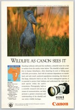 1992 Canon EOS 1 Camera Vintage Print Ad African Shoebill Photographer Wall Art