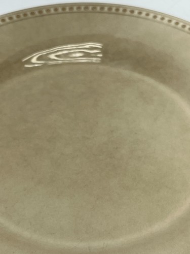 Lot OF 2 - PIER 1 IMPORTS - SPICE ROUTE - SESAME - 10 3/4" ROUND DINNER PLATES - Picture 7 of 8