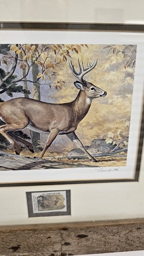 1981 Conservation Stamp LMTD Print 696/1300 Signed Ned Smith Framed W/ Stamp. F0 - Picture 3 of 14