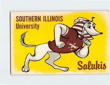 Postcard Salukis Southern Illinois University Carbondale Illinois USA