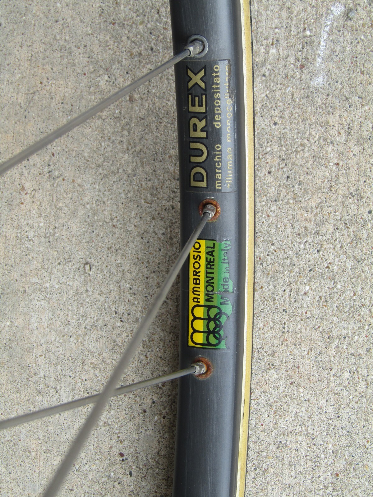 schwinn paramount ebay