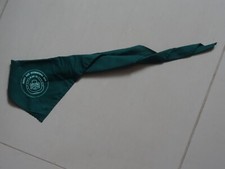 Sussex East International Camp Olave '93 Guide Neckerchief (1993)