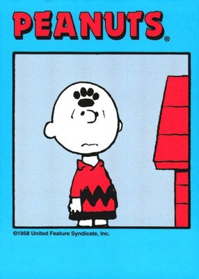 1992 Pro Sport Specialties Peanuts  #19 Charlie Brown  
