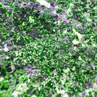 Bild 9 von 16