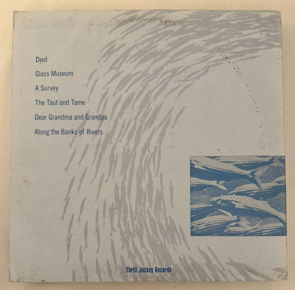 TORTOISE – MILLIONS NOW LIVING WILL NEVER DIE - VINYL LP BLACK THRILL JOCKEY A16 Foto 2 de 2