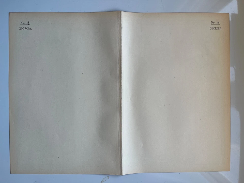 Antique Map of Georgia United States Century Atlas 1907 - Image 4 of 4