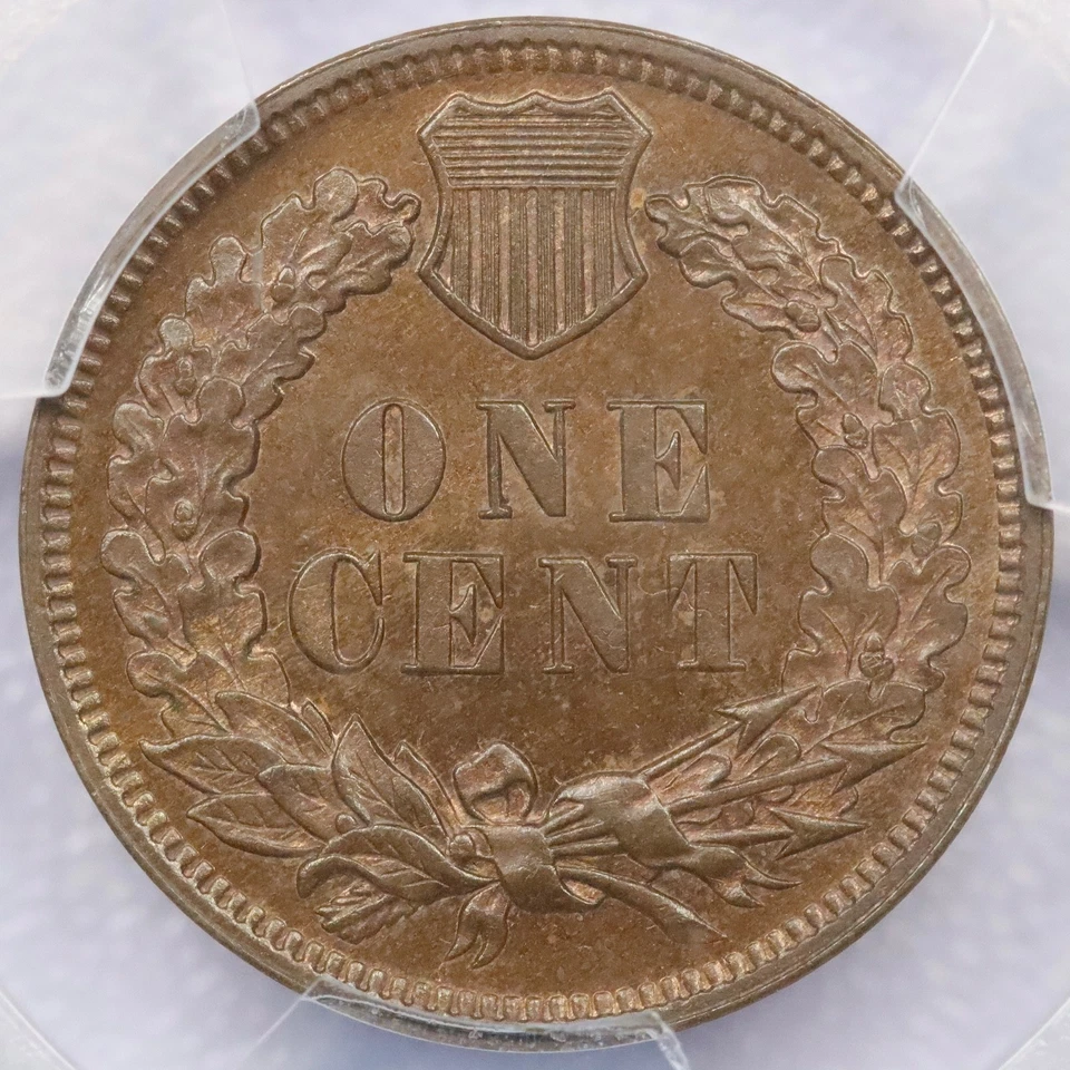 Centavo cabeza india 1879 1c - graduación profesional PR 64 BN Foto 2 de 4