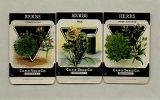 SET OF 3 HERBS CARD SEED CO. LITHO 1920's SEED PACKETS - L@@K