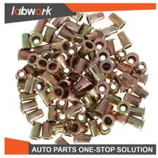 Labwork Flat Head Rivnut Carbon Steel Threaded Insert Nuts 100 Pcs M6 Metric Nut