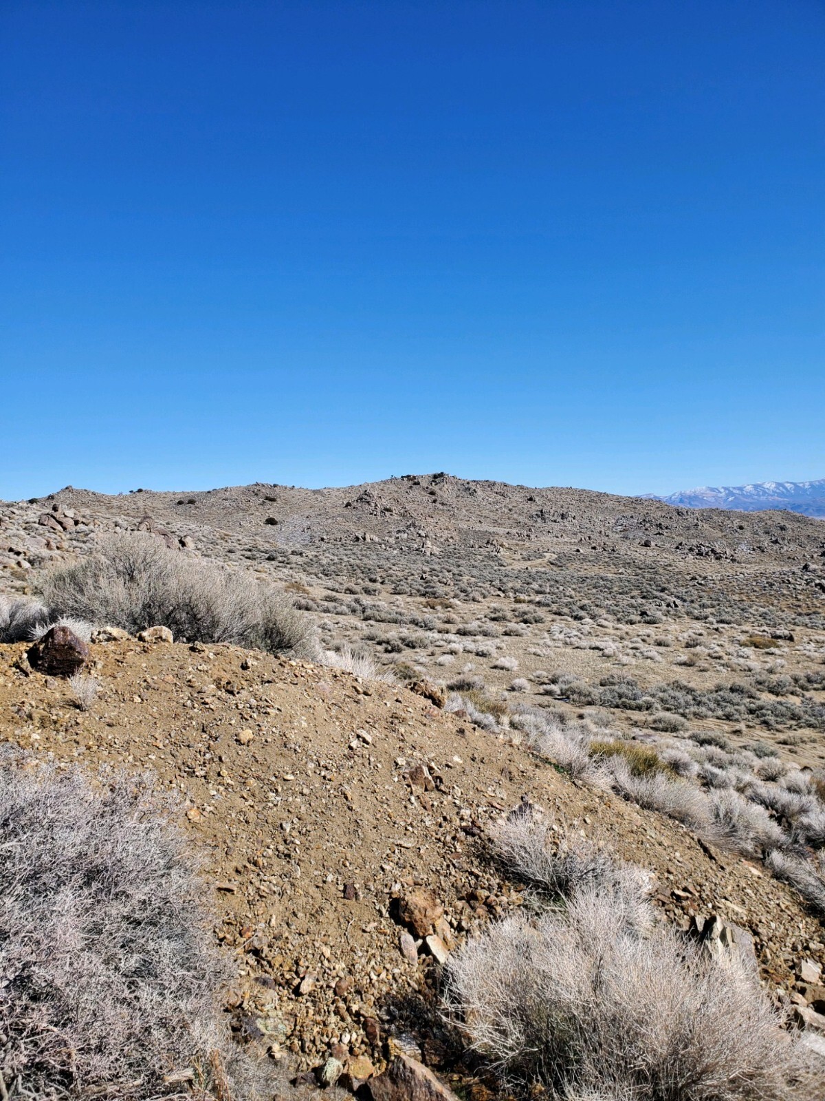 Steiner Mine near Lovelock Nevada Silver Gold Mining Claim with Big