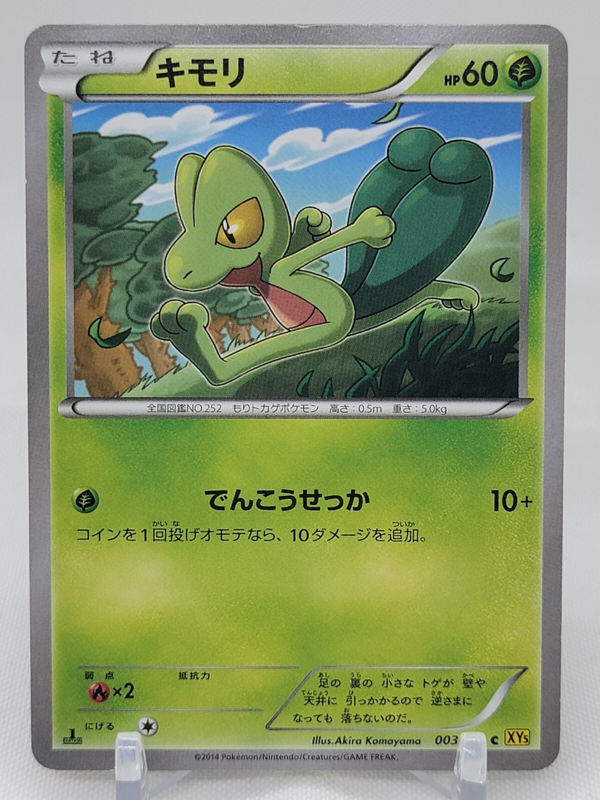 Treecko 3/70 1st ED XY5 Tidal Storm Japanese Pokemon Card