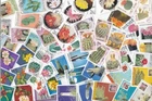 Y1004 - Collection 50 diff. stamps - Cactussen / Cactus / Kakteen