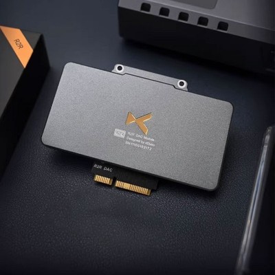 xDuoo Mellow Vinyl Sound R2R DAC 128 Precision Thin-film Resistors DAC Card