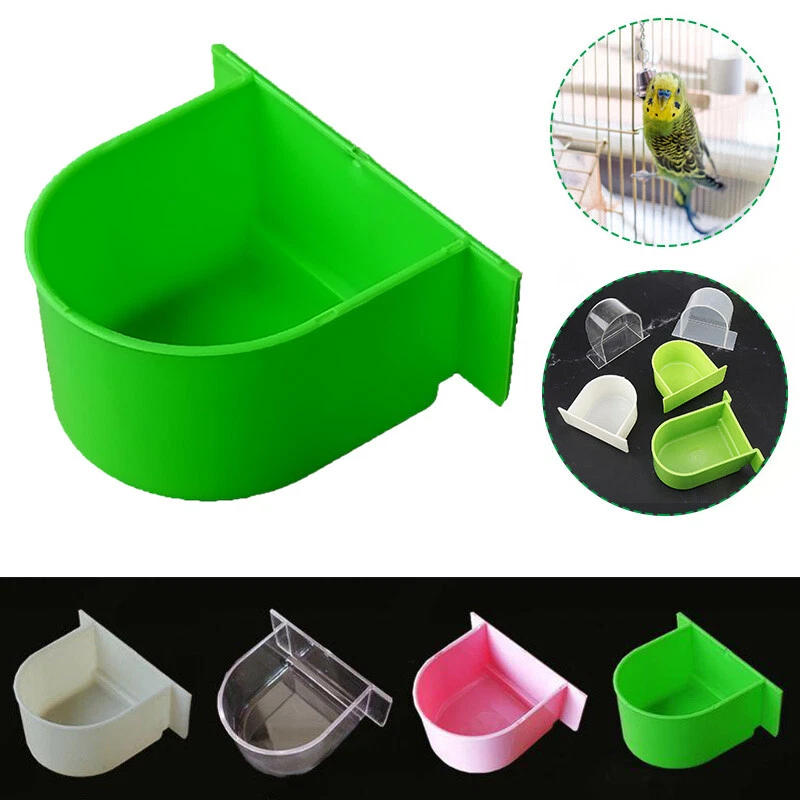 Parrot food bowl 2025