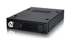 ICY DOCK ToughArmor MB991IK-B - SAS 3.0 Dual Channel 12GBit / SATA III 6Gbit Hot