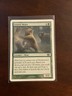 Magic the Gathering Eighth Edition Grizzly Bears