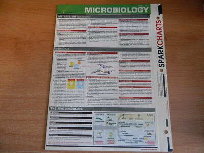 SparkCharts Ser.: Microbiology by SparkNotes QUICK STUDY NURSING DOCTOR NEW