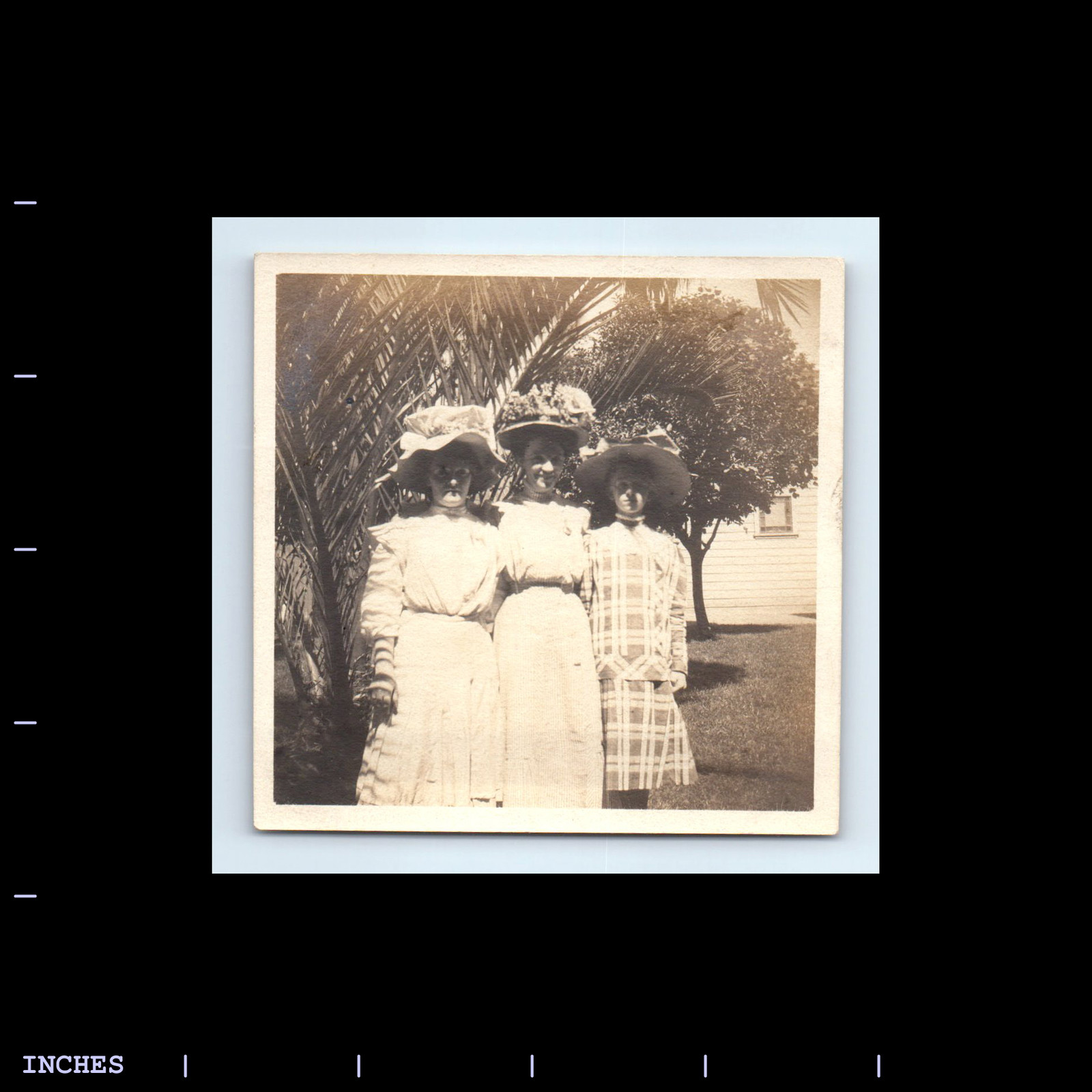 Victorian Era Women Three Graces Photo with Dress and Hat