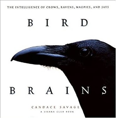 Bird Brains : The Intelligence of Crows, Ravens, Magpies, and Jay