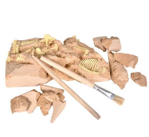 Stegosaurus skeleton Excavation kit fossil dig DINOSAUR bones display 6 in EXDFO - Picture 1 of 1