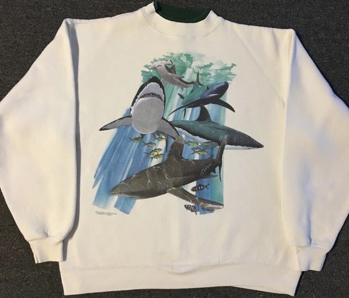 Picture 1 of 19