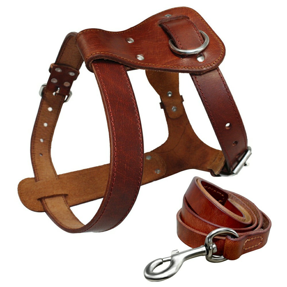 heavy duty leather dog leash