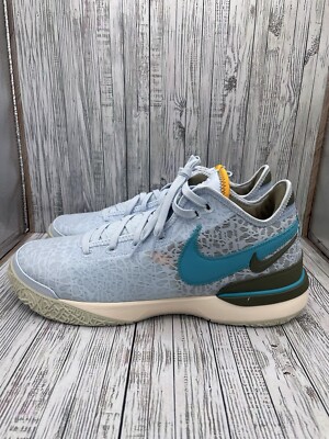 Size 14 - Nike Zoom LeBron NXXT Gen Blue Tint for sale online | eBay