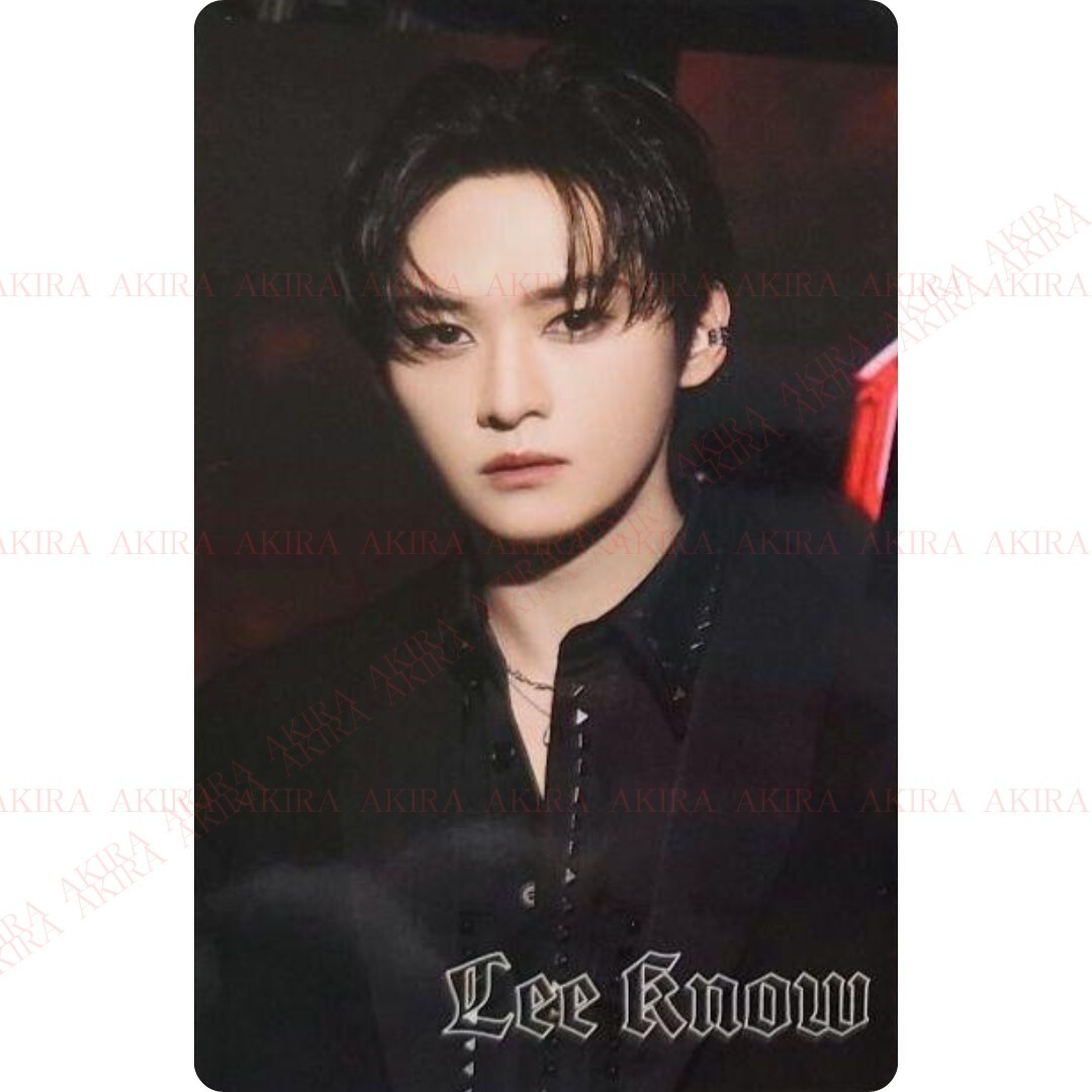 dominATE JAPAN アプグレ特典ユニットフォト Stray Kids dominATE JAPAN 2025 FC GOLD Member Limited